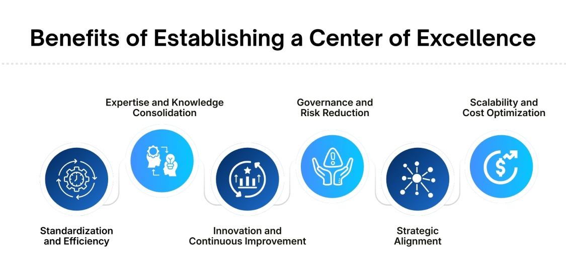 Why Establish a Center of Excellence